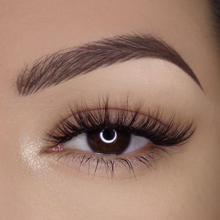 Qerpike / Lashes