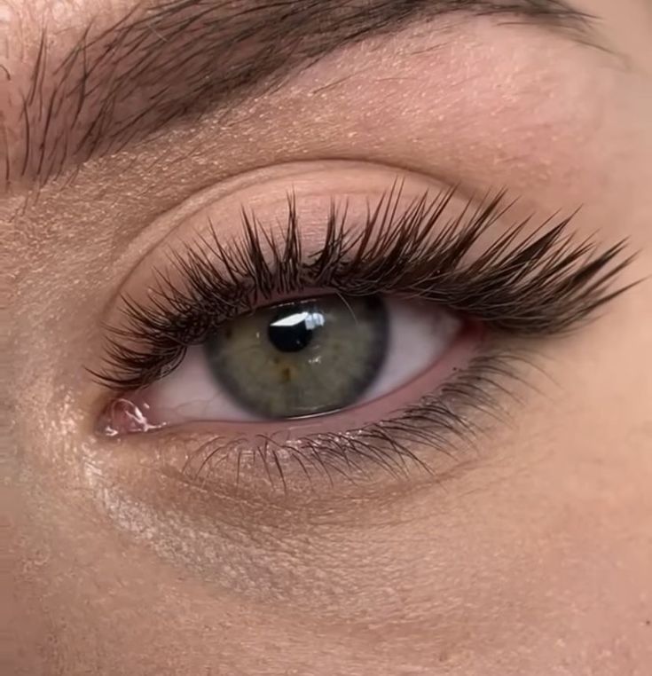 Qerpike / Lashes