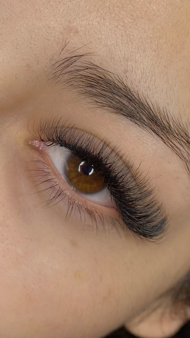 Qerpike / Lashes